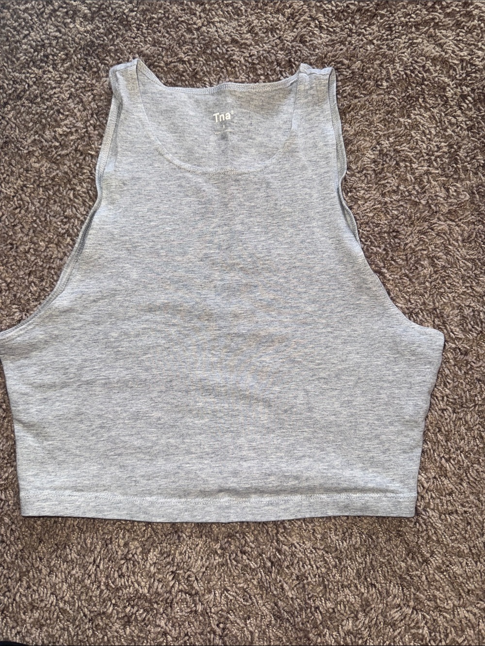 TNA Aritzia Grey Ribbed Cropped Tank